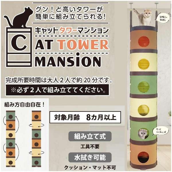 CAT TOWER MANSiON_3