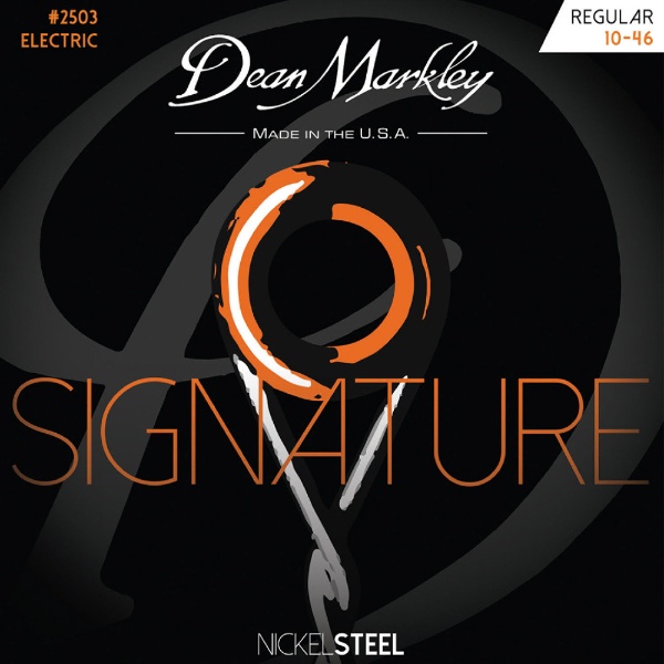 쥭 REGULAR NICKEL STEEL Signature [Electric Guitar] DM2503