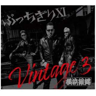 TDCDRDl┈RDSD/ ԂXI Vintage 3  yCDz