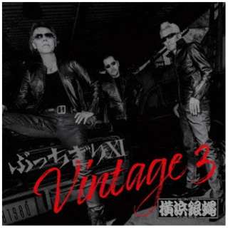 TDCDRDl┈RDSD/ ԂXI Vintage 3 ʏ yCDz