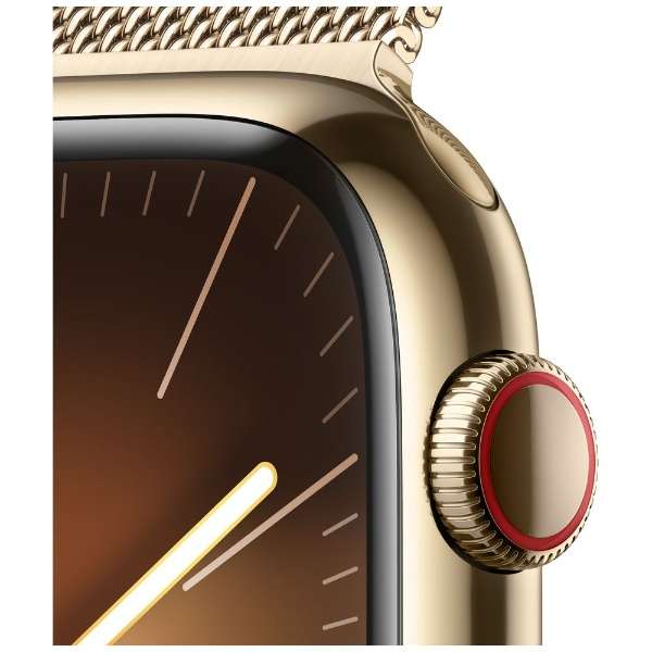 Apple Watch Series 9iGPS + Cellularfj- 45mmS[hXeXX`[P[XƃS[h~l[[[v MRMU3J/A_3