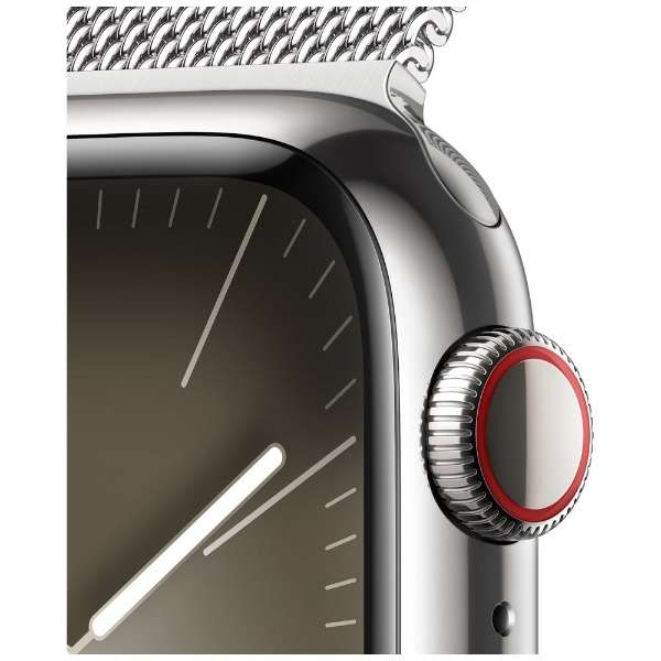 Apple Watch Series 9(ＧＰＳ+Cellular型号)-41mm银不锈钢包和shirubamiranezerupu MRJ43J/A_3