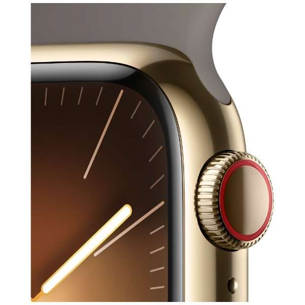 Apple Watch Series 9iGPS + Cellularfj- 41mmS[hXeXX`[P[XƃNCX|[coh - S/M MRJ53J/A_3