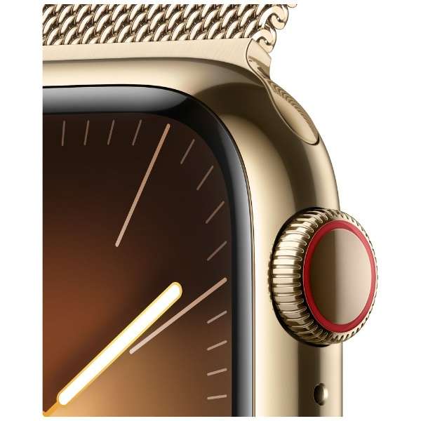 Apple Watch Series 9iGPS + Cellularfj- 41mmS[hXeXX`[P[XƃS[h~l[[[v MRJ73J/A_3