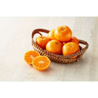 早和果樹園有田橘子约5kg[水果]