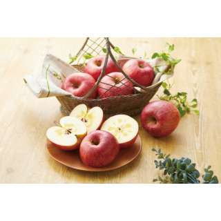 信州りんご 約1.5kg (5～6玉) 【フルーツ】