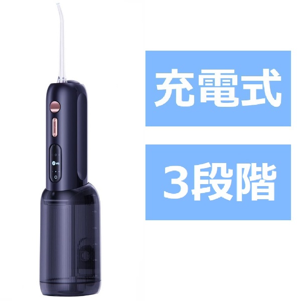口腔洗浄器 waterpik WF-10J010 [ハンディタイプ /国内・海外兼用 