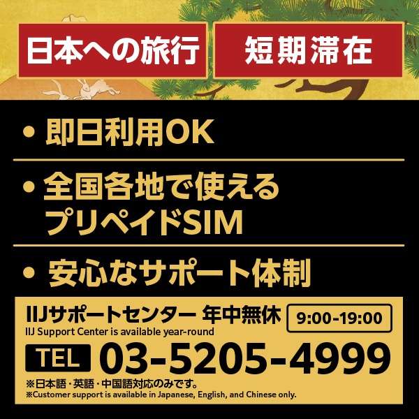yƐŃN[|tzJapan Travel SIM for BIC SIM 6GB(3in1)_2
