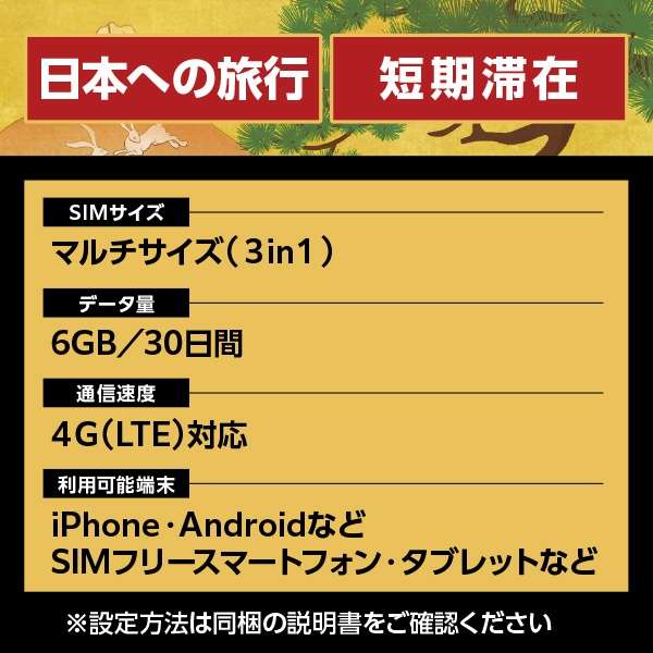 yƐŃN[|tzJapan Travel SIM for BIC SIM 6GB(3in1)_3