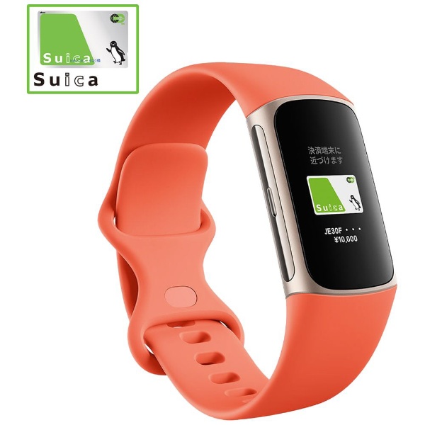 AppleWatchfitbit charge4 GPS搭載　Suica対応