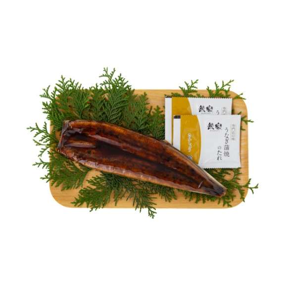 宫崎鳗鱼轻松的九州生产鳗鱼烤鳗鱼1条_2