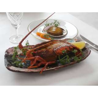 德岛天然龙虾牛排toawabi炖鱼和蔬菜综合大礼包(2块龙虾牛排，壳在的awabi炖鱼和蔬菜160g)