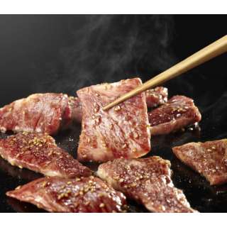 宫崎县生产有雾地带牛肩膀里脊肉烤肉(500g)