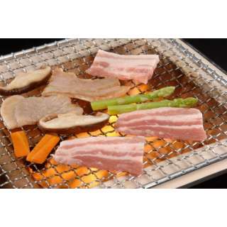 山形山形县肉国营公司认定山形猪玫瑰花烤肉(1kg)