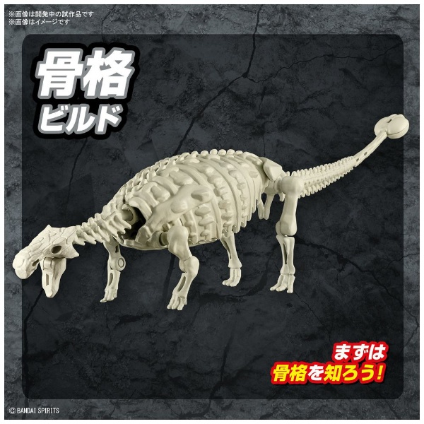 プラノサウルス アンキロサウルス バンダイスピリッツ｜