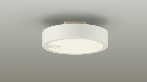 大光電機 LEDシーリングライト [電球色] DXL-81290C