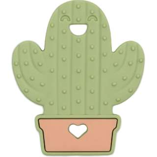 f^ł߁@Cactus oLX Cactus BM-THRCTS