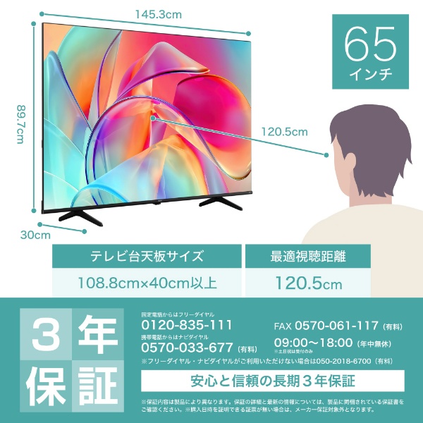 液晶テレビ 65E6K [65V型 /Bluetooth対応 /4K対応 /BS・CS 4K