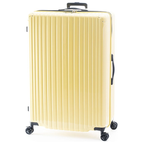 スーツケース 33L CLASSIC FLIGHT（クラシックフライト） シルバー 