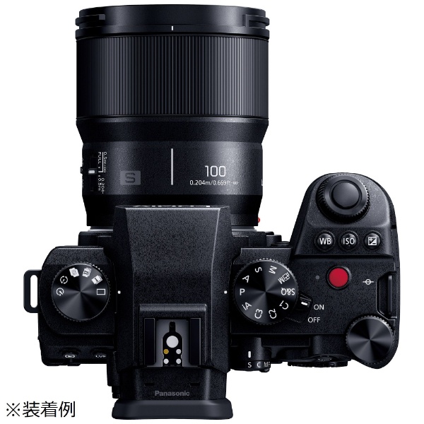 カメラレンズ LUMIX S 100mm F2.8 MACRO S-E100 [ライカL /単焦点 