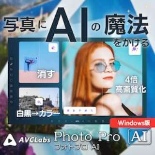 AVCLabs PhotoPro AI Windows [Windowsp] y_E[hŁz