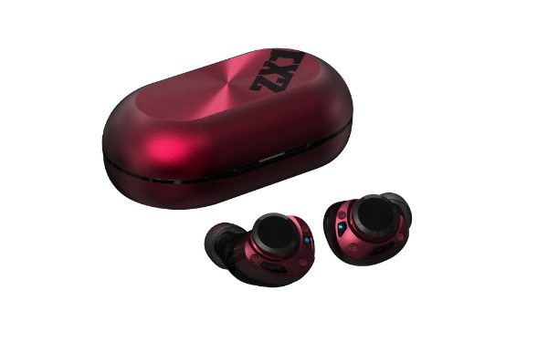 フルワイヤレスイヤホン TE-ZX1 [ワイヤレス(左右分離) /ノイズキャンセリング対応 /Bluetooth対応]