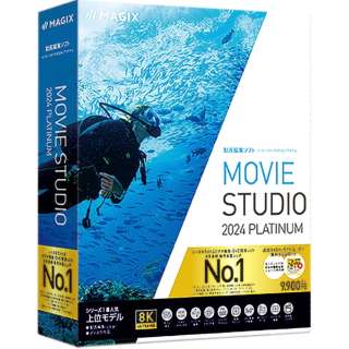 Movie Studio 2024 Platinum [Windowsp]