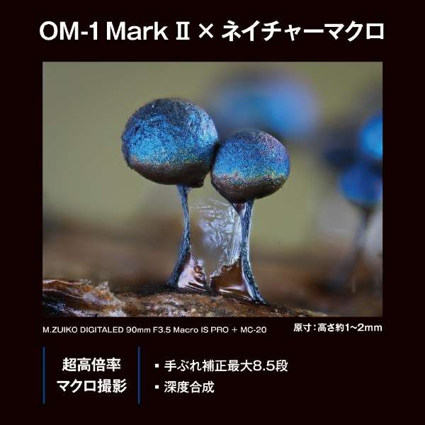 OM-1 MarkII 12-45mm F4.0 PRO透镜配套元件微单[变焦距镜头]_21
