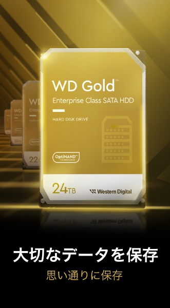 WD241KRYZ 内蔵HDD SATA接続 WD Gold [24GB /3.5インチ] 【バルク品】