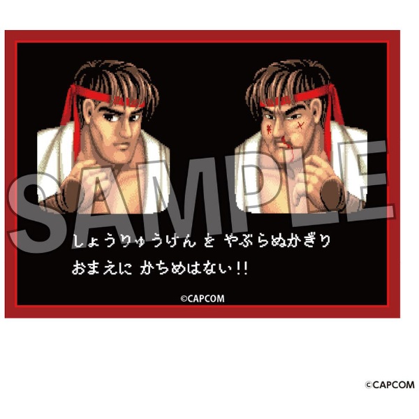 イラストスリーブNT ストリートファイターII リュウ PROOF｜プルーフ 通販 | ビックカメラ.com