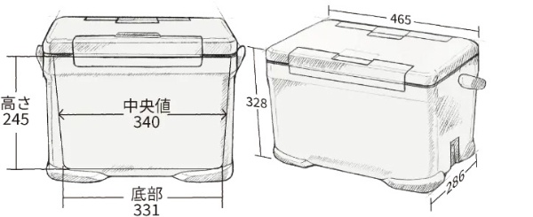 アイスボックス ICEBOX PRO (17L/モカ) NX-017X モカ NX-017X 【立川店限定】