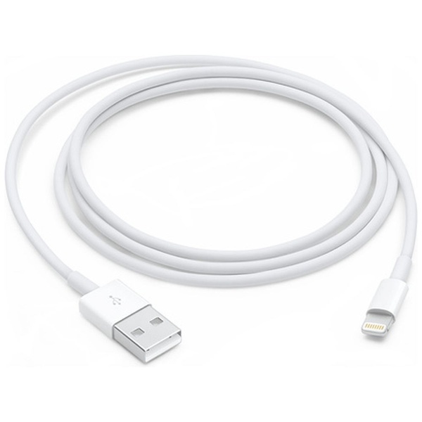 Lightning - USBケーブル（1 m） MUQW3FE/A アップル｜Apple 通販