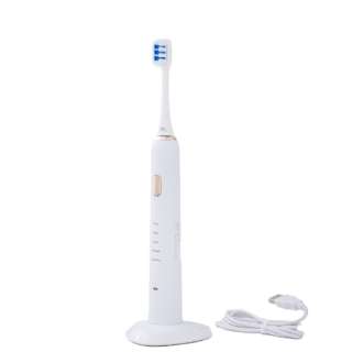 Oral Technology Sonic Brush