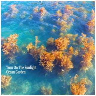 Turn On The Sunlight/Ocean Garden[模拟唱片]