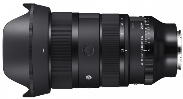 カメラレンズ 16-28mm F2.8 DG DN Contemporary [ソニーE /ズーム 