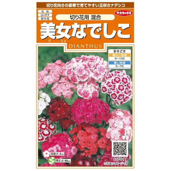 実咲 美女なでしこ 切り花用混合 サカタのタネ｜SAKATA SEED CORPORATION 通販 | ビックカメラ.com