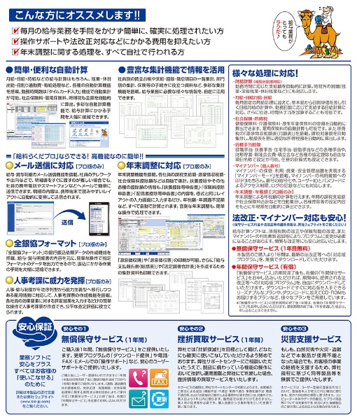 給料らくだプロ25 [Windows用] BSLシステム研究所｜BSL System Research Institute 通販 |  ビックカメラ.com