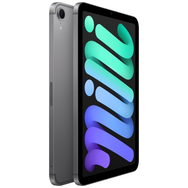 SIMフリー】iPad mini (A17 Pro) 8.3型 Wi-Fi + Cellularモデル ストレージ：128GB MXPN3J/A  スペースグレイ Apple｜アップル 通販 | ビックカメラ.com