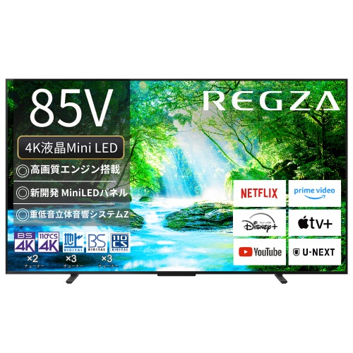 55M520X 液晶テレビ REGZA(レグザ) [55V型 /4K対応 /BS・CS 4Kチューナー内蔵 /YouTube対応]  【お届け地域限定商品】 REGZA｜レグザ 通販 | ビックカメラ.com