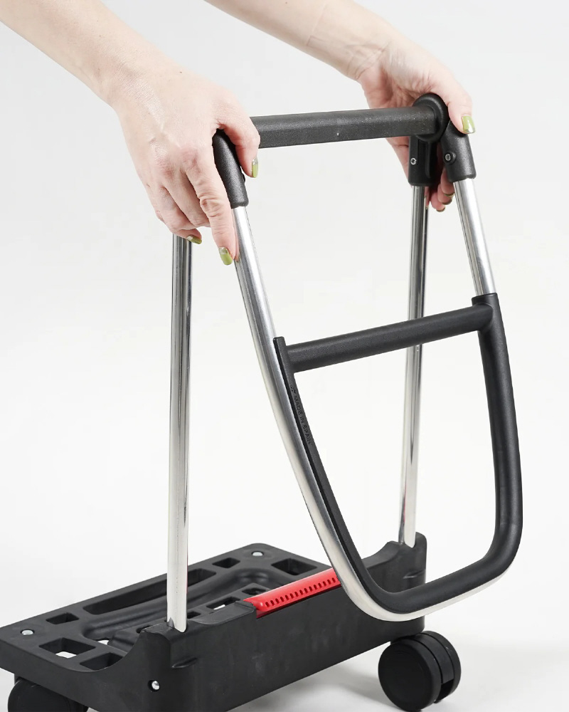 �o�b�N�p�b�N�~�L�����[�J�[�g T-SHOP MAX MFBK �u���b�N RS-004TS_6