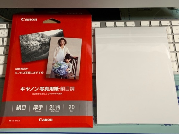 まとめ) キヤノン Canon 写真用紙・絹目調 印画紙タイプ SG-201L120 L